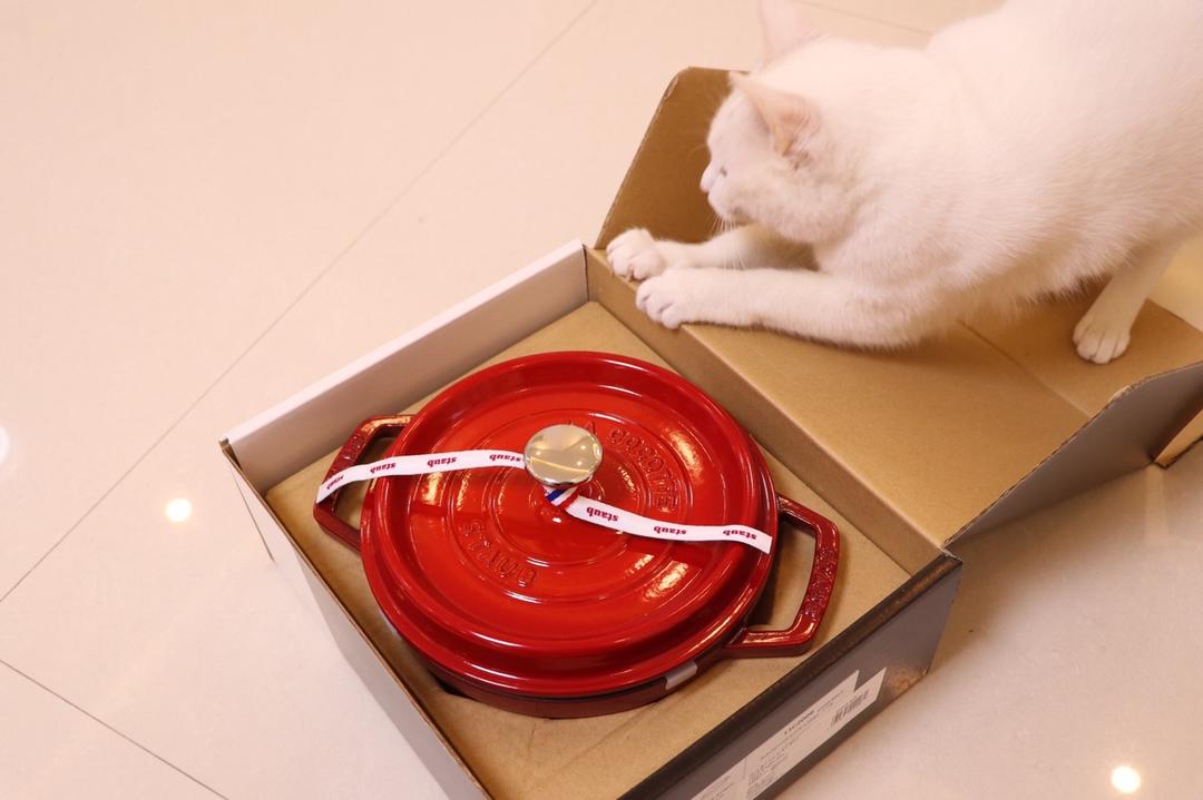 Staub珐琅铸铁锅的开锅+养成