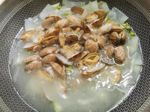 冬瓜蛤蜊汤的做法 步骤4