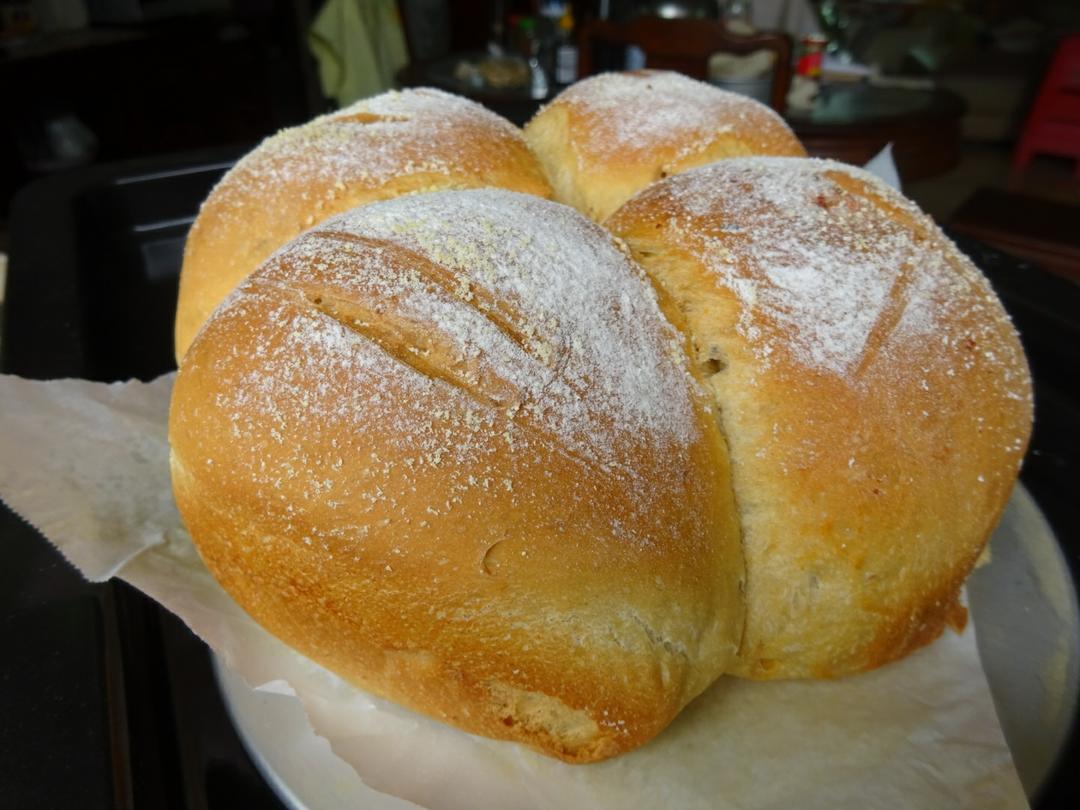 纯奶手撕吐司的做法 步骤1