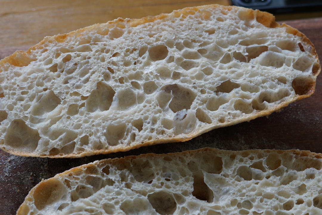 高水量恰巴塔【鲁邦种】