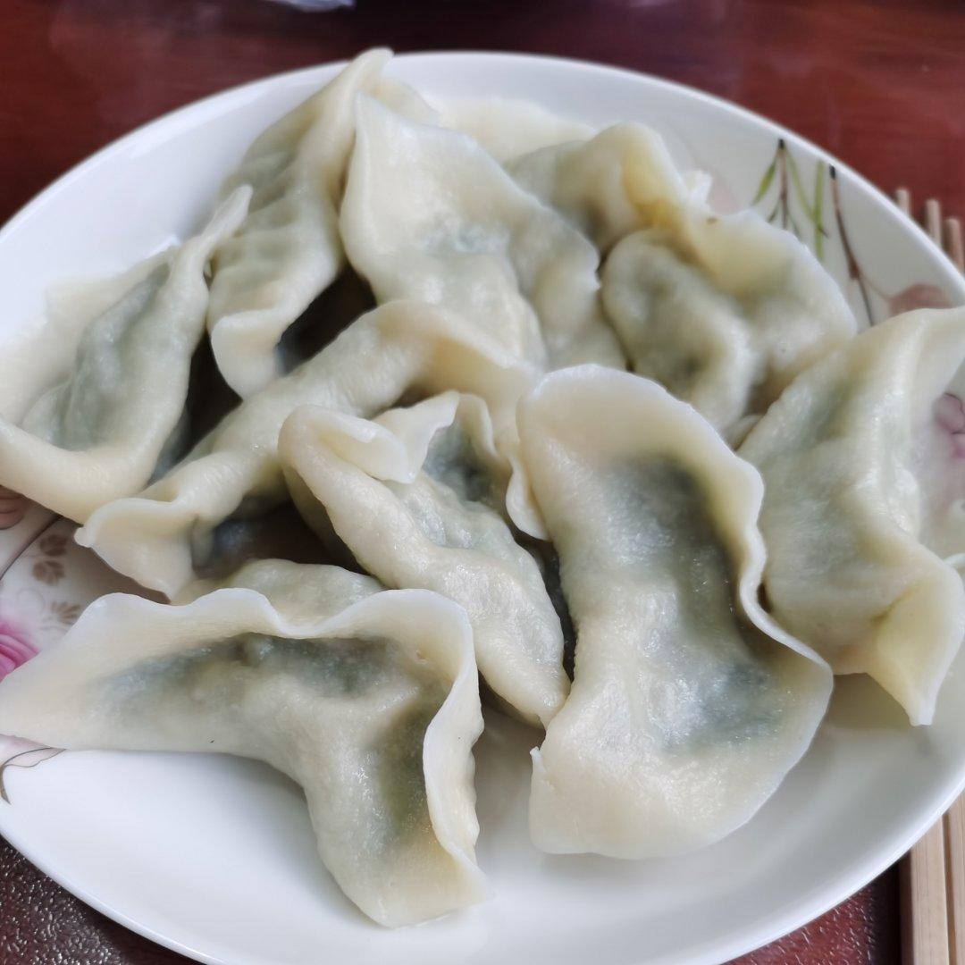 猪肉茴香馅饺子