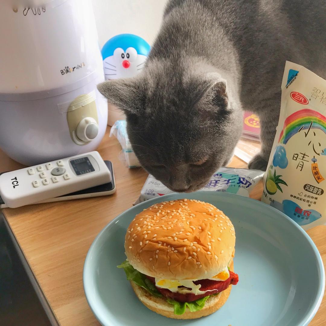 肯德基早餐汉堡轻松在家做 ---『玉米鸡肉汉堡包』