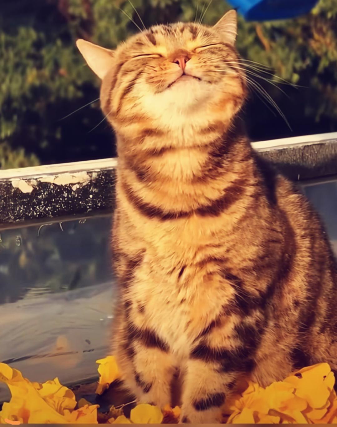 在希望的田野555