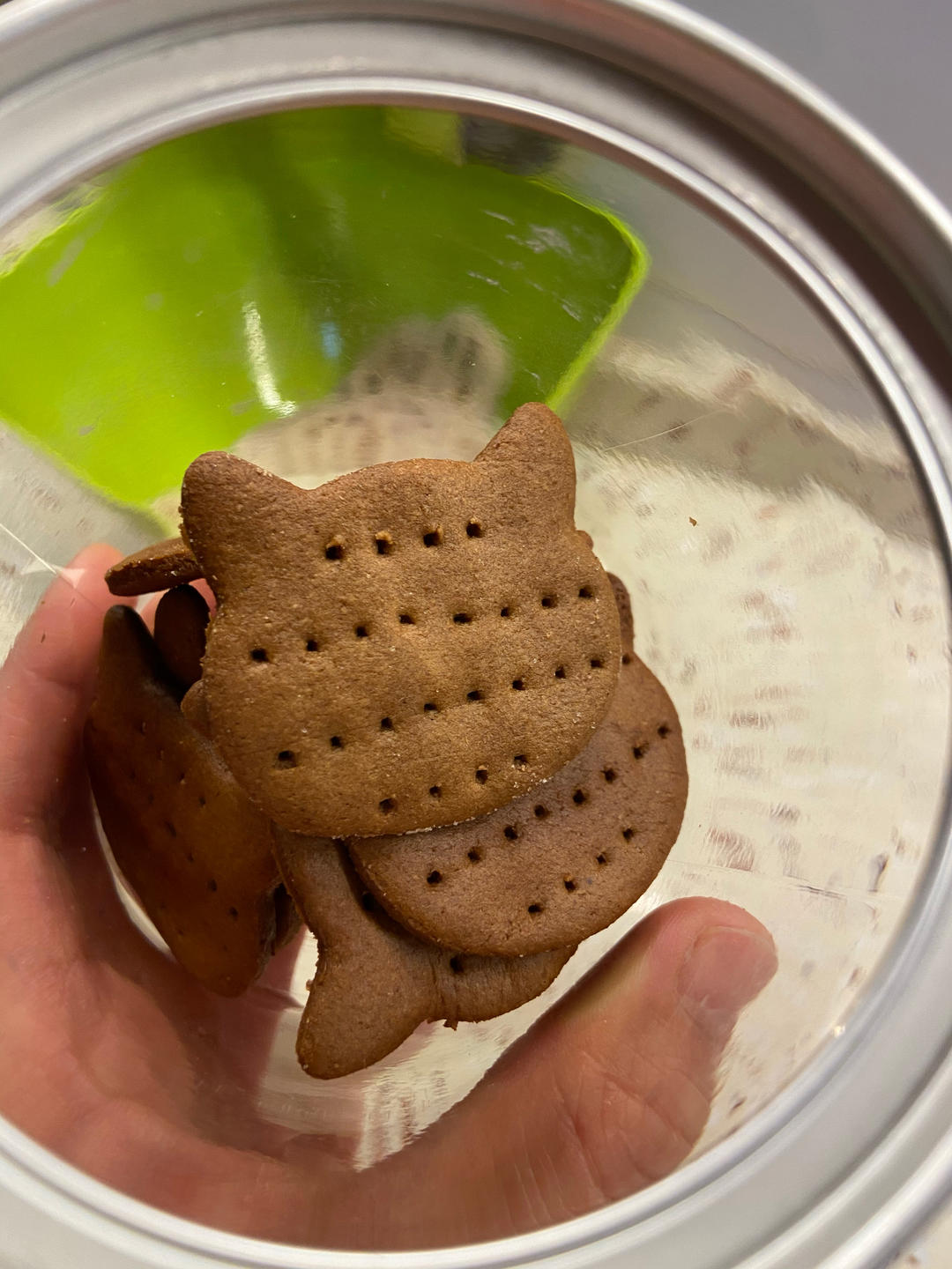 越嚼越香的全麦咖啡味饼干