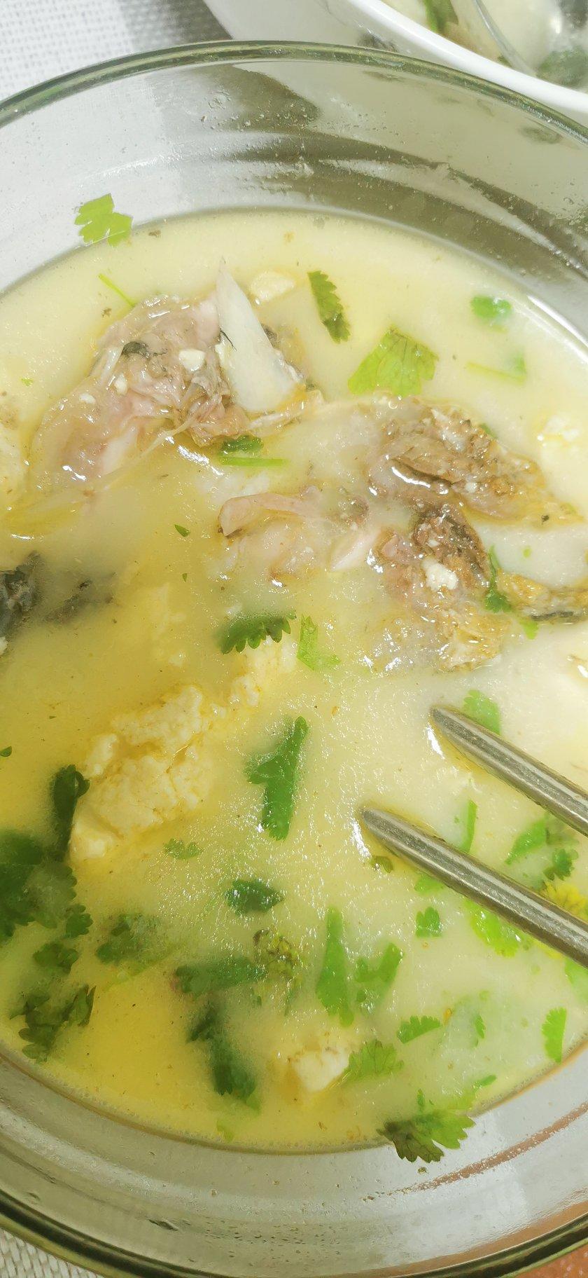 草鱼头豆腐煲