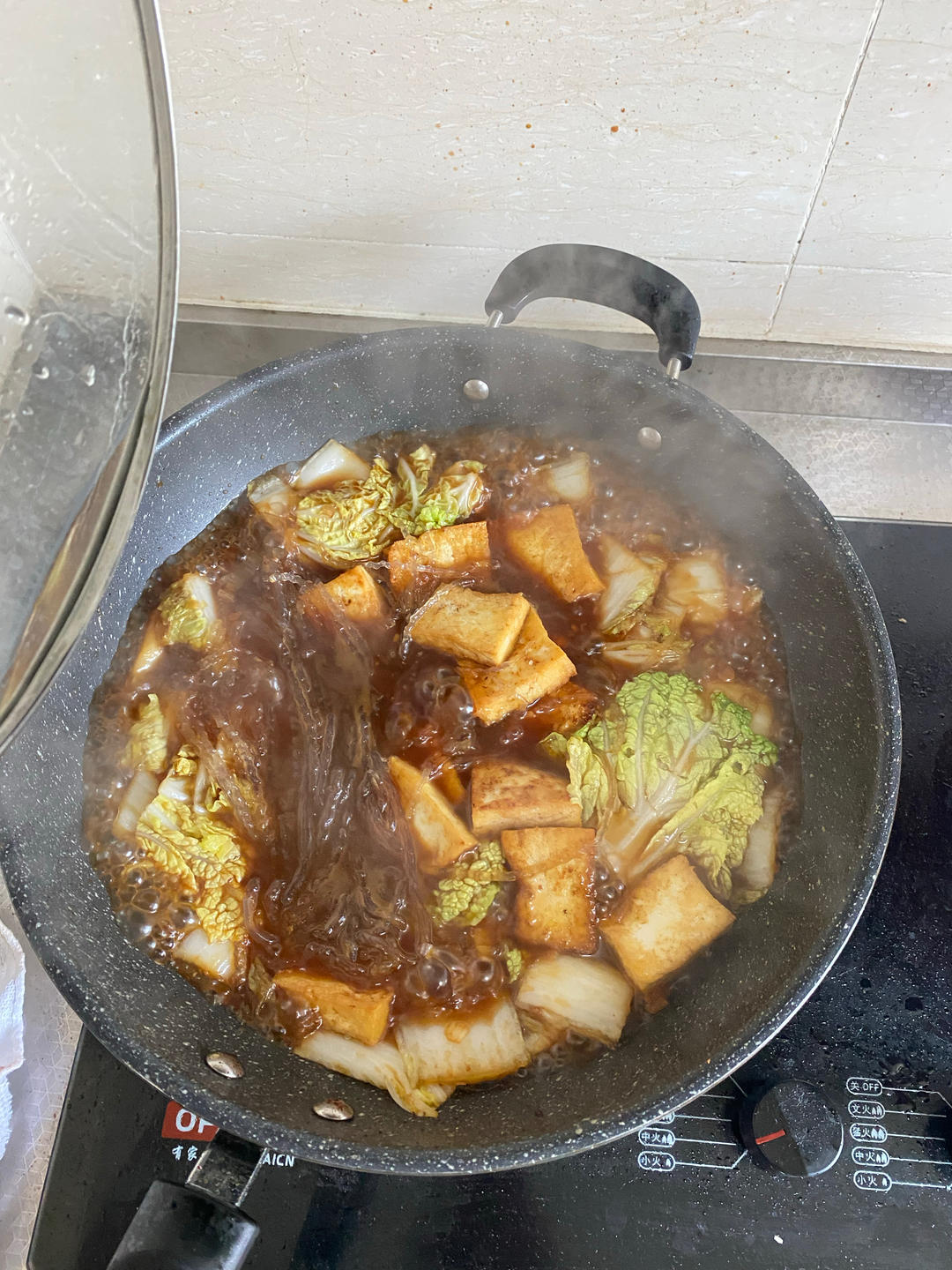 白菜豆腐炖粉条（素）