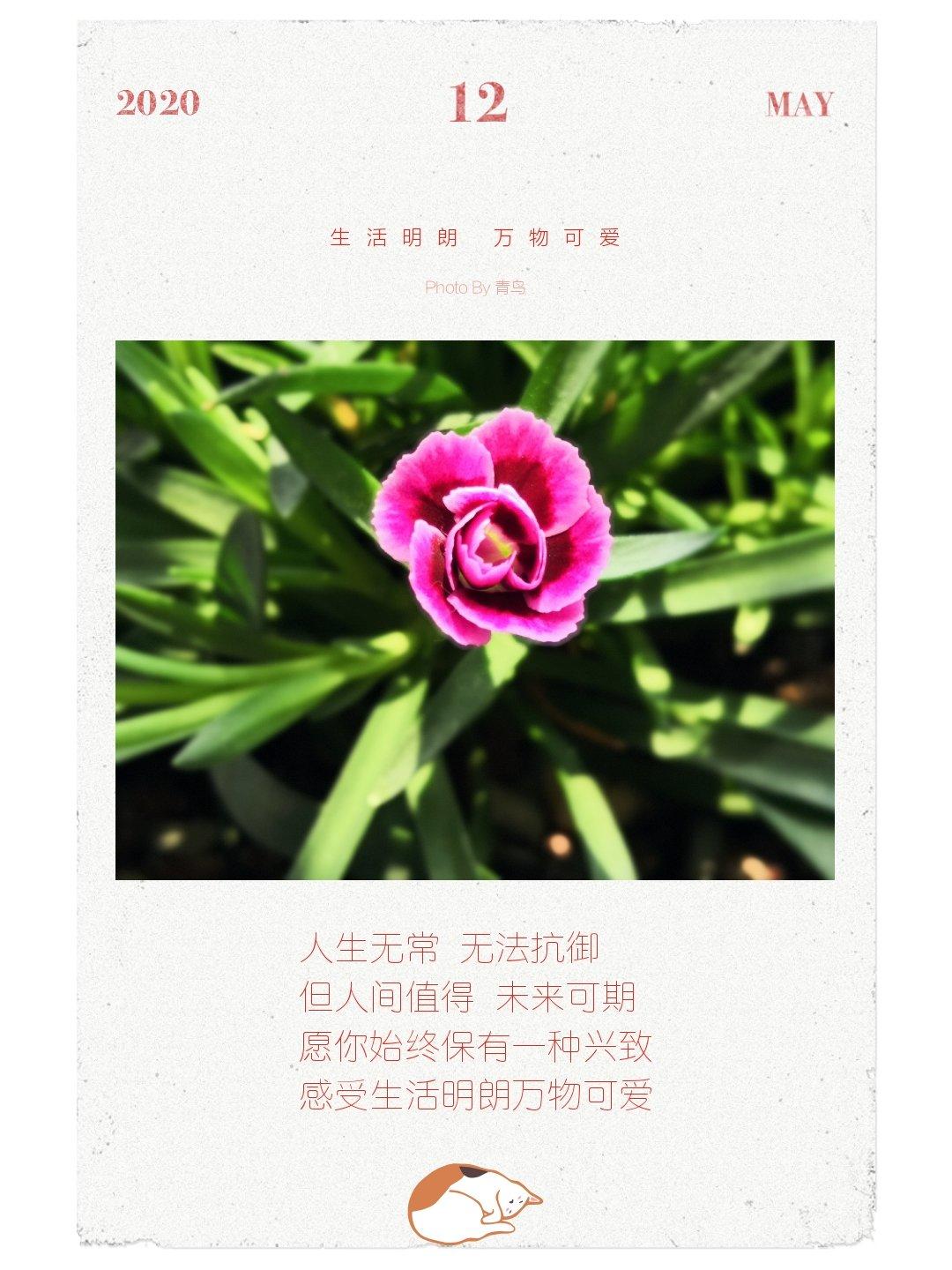 喵的面包吐司🍞糕糕🍰