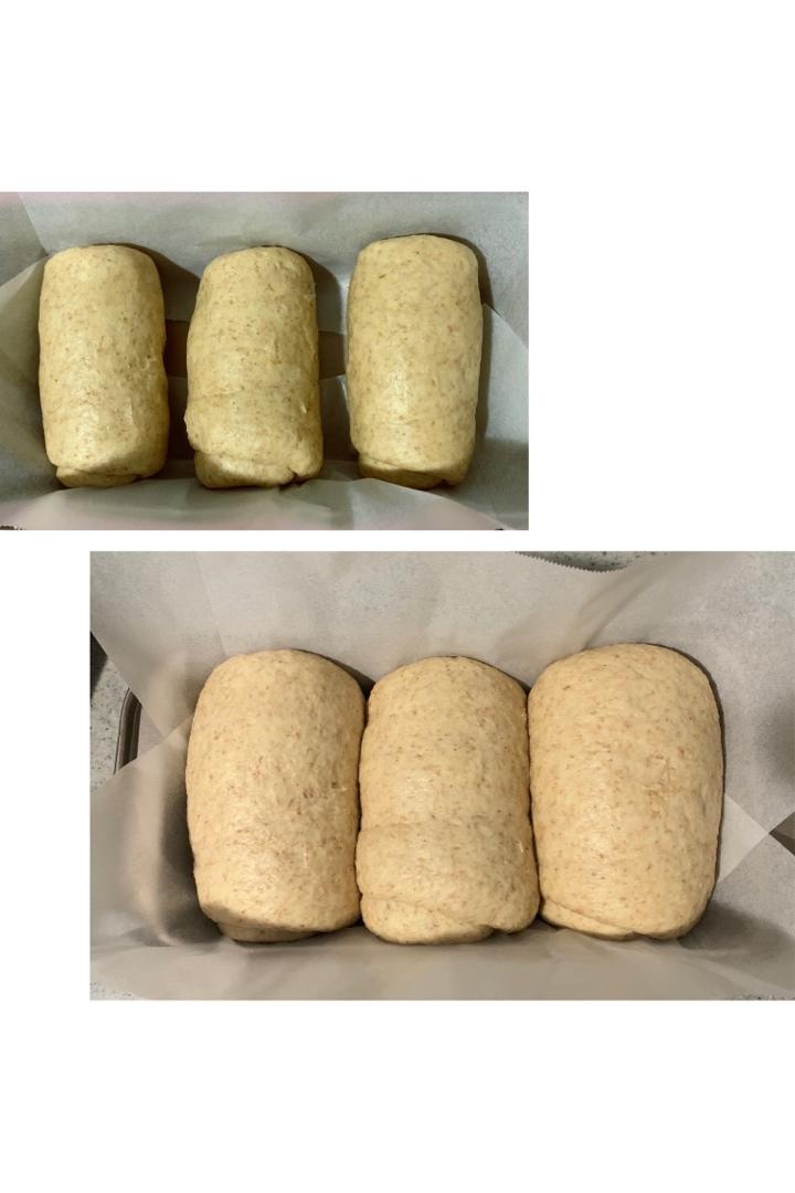 柔软拉丝的100%全麦麦片吐司（一次发酵）