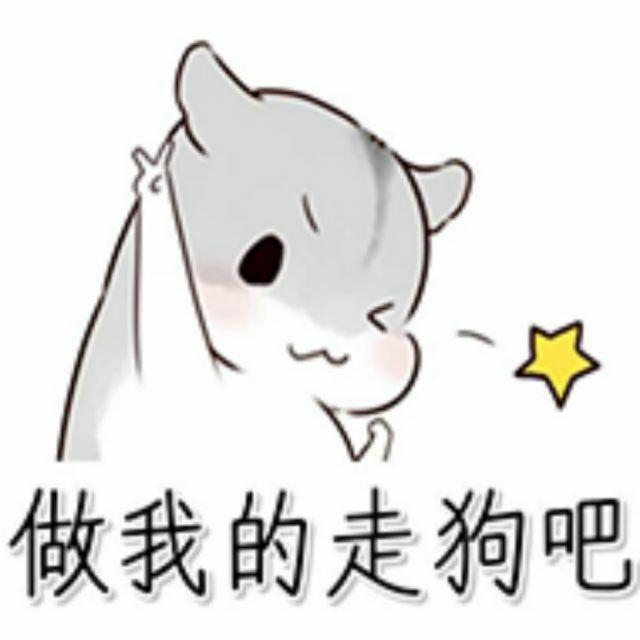 偷白菜的小毛贼