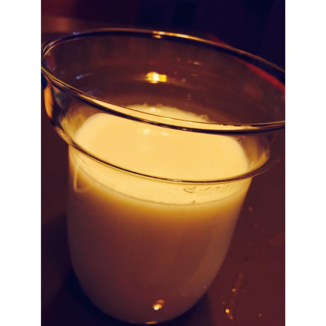 自制老酸奶