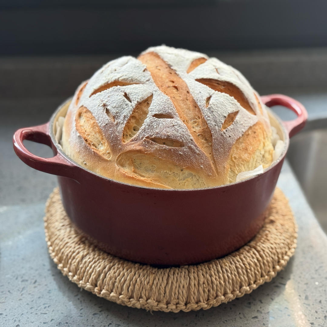 自由欧包（波兰种）