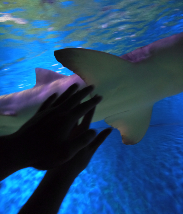 来自宇宙的森女王