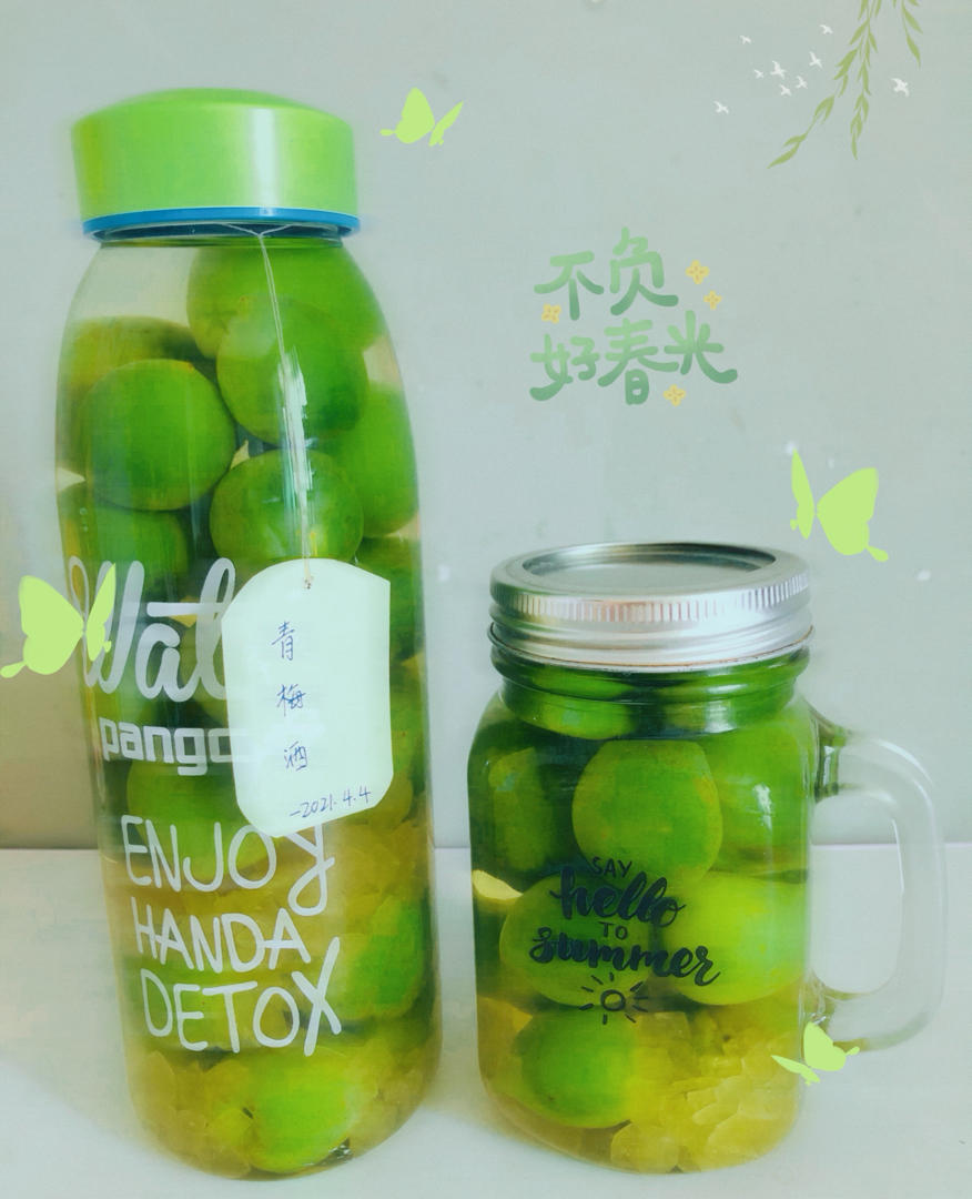 零失败【青梅酒 & 梅子露】梅子的沉淀岁月