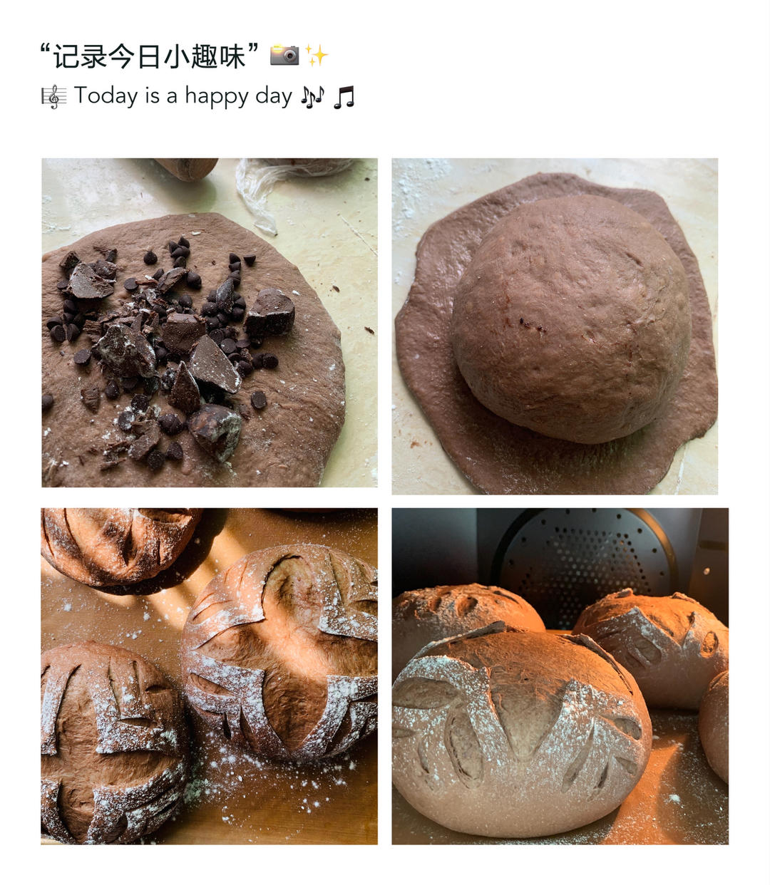 🍫会爆浆｜会流心｜会开花｜巧克力全麦软欧