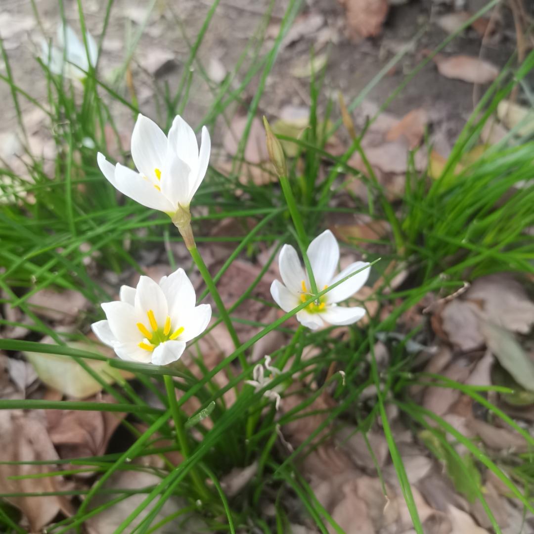 一直在减肥路上挣扎