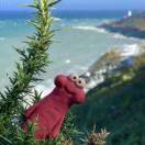 微信用户_zOI4_m2o6