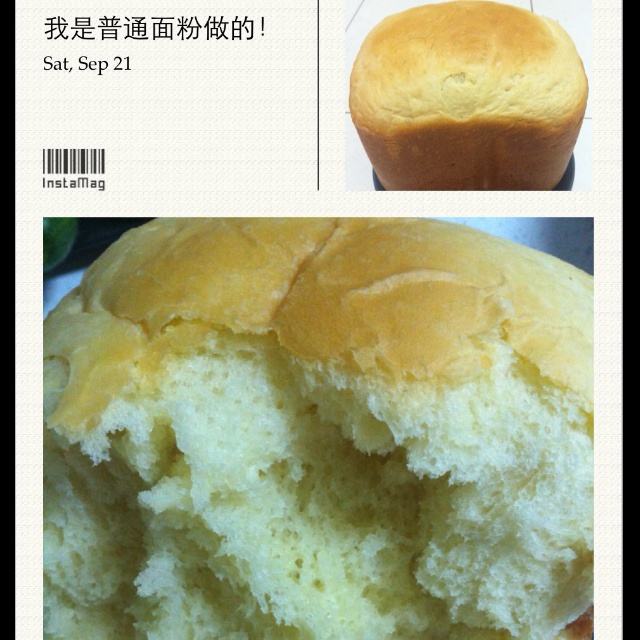 面包机版原味吐司