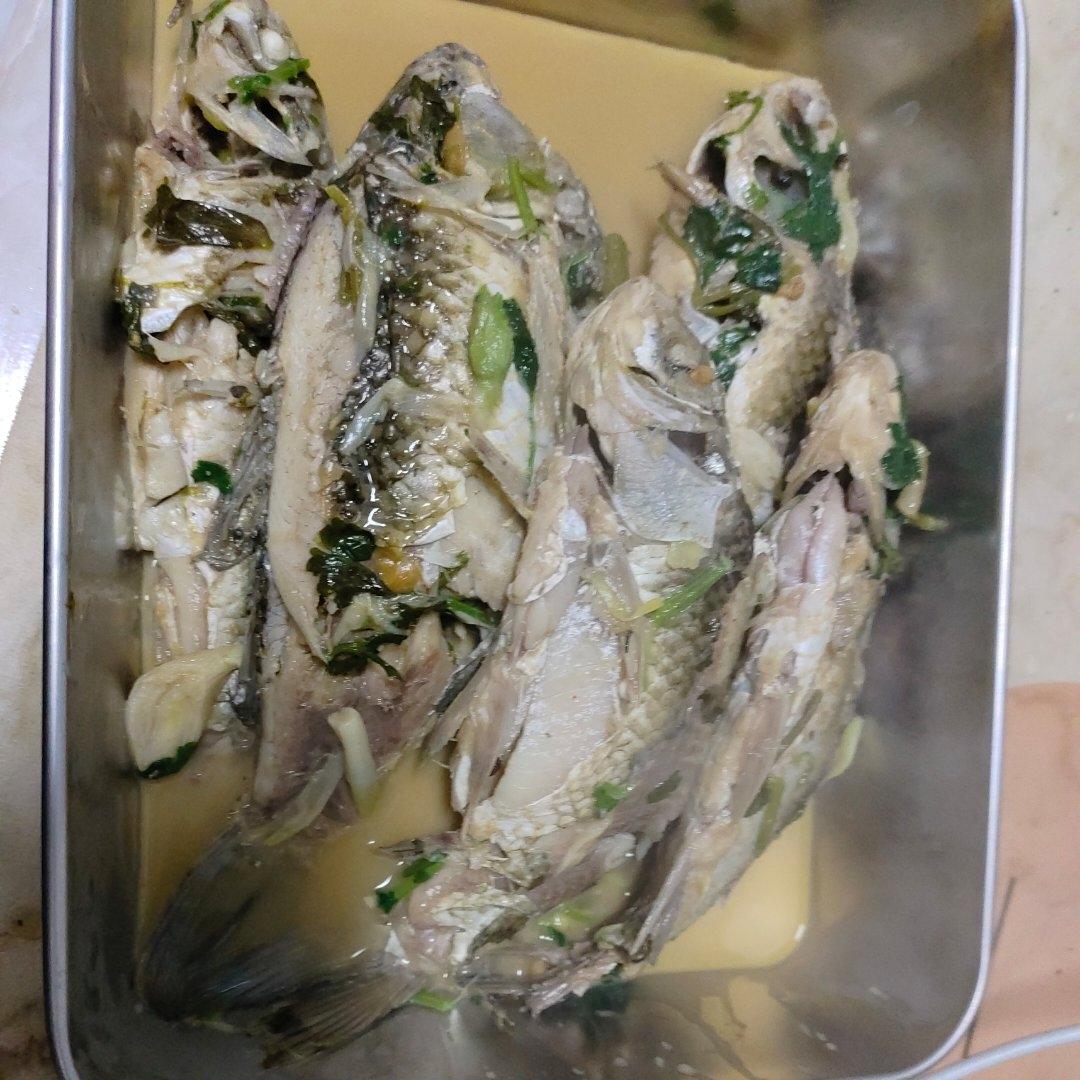 小辣鱼