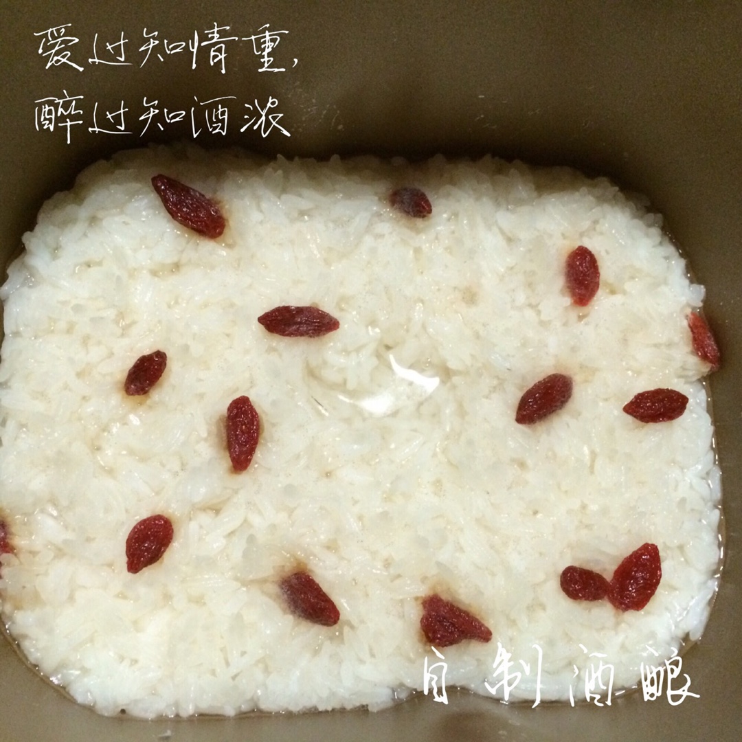 酒酿 (酒酿系列一）