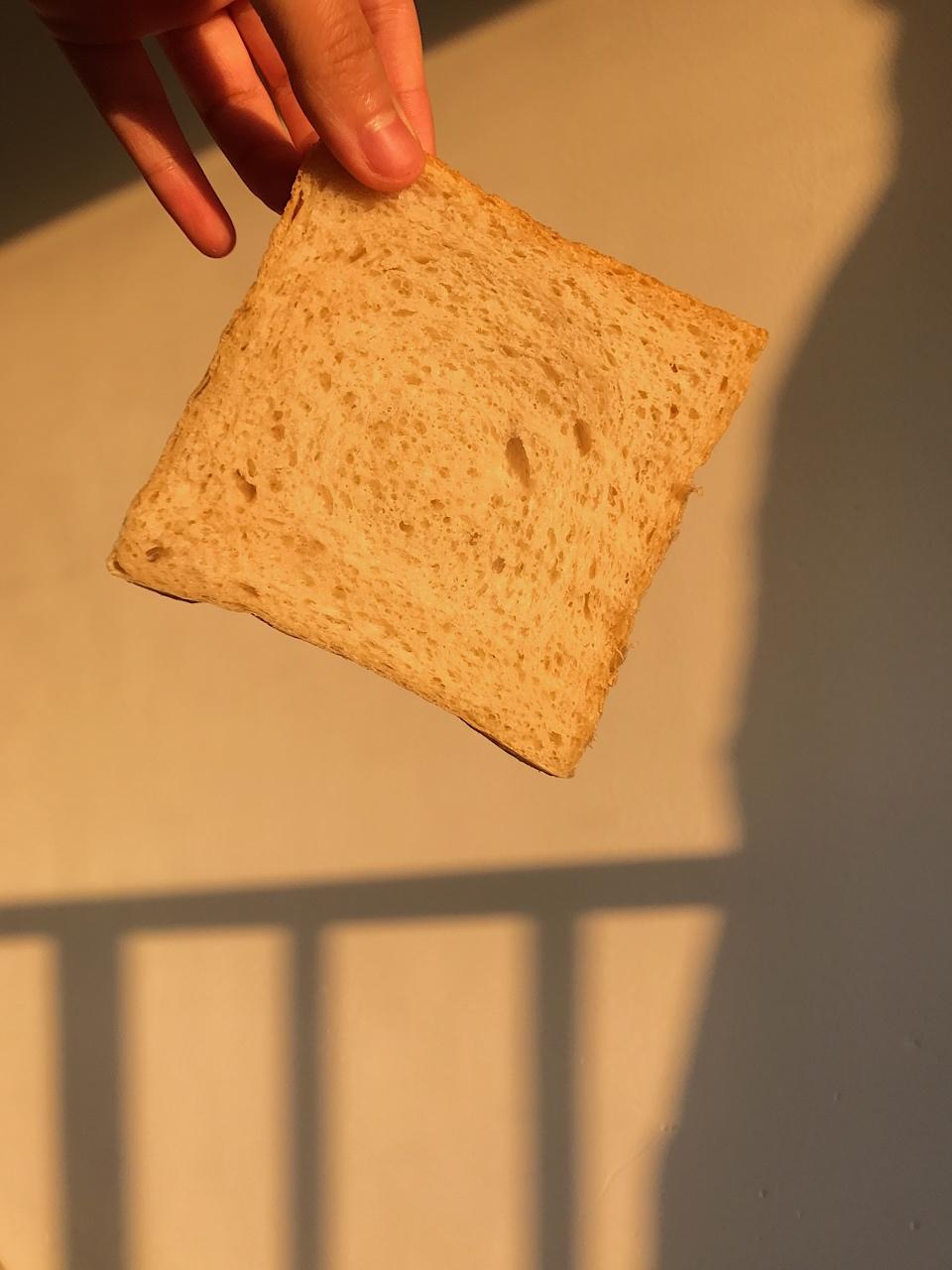 Whole Wheat 100%全麦面包-BBA版