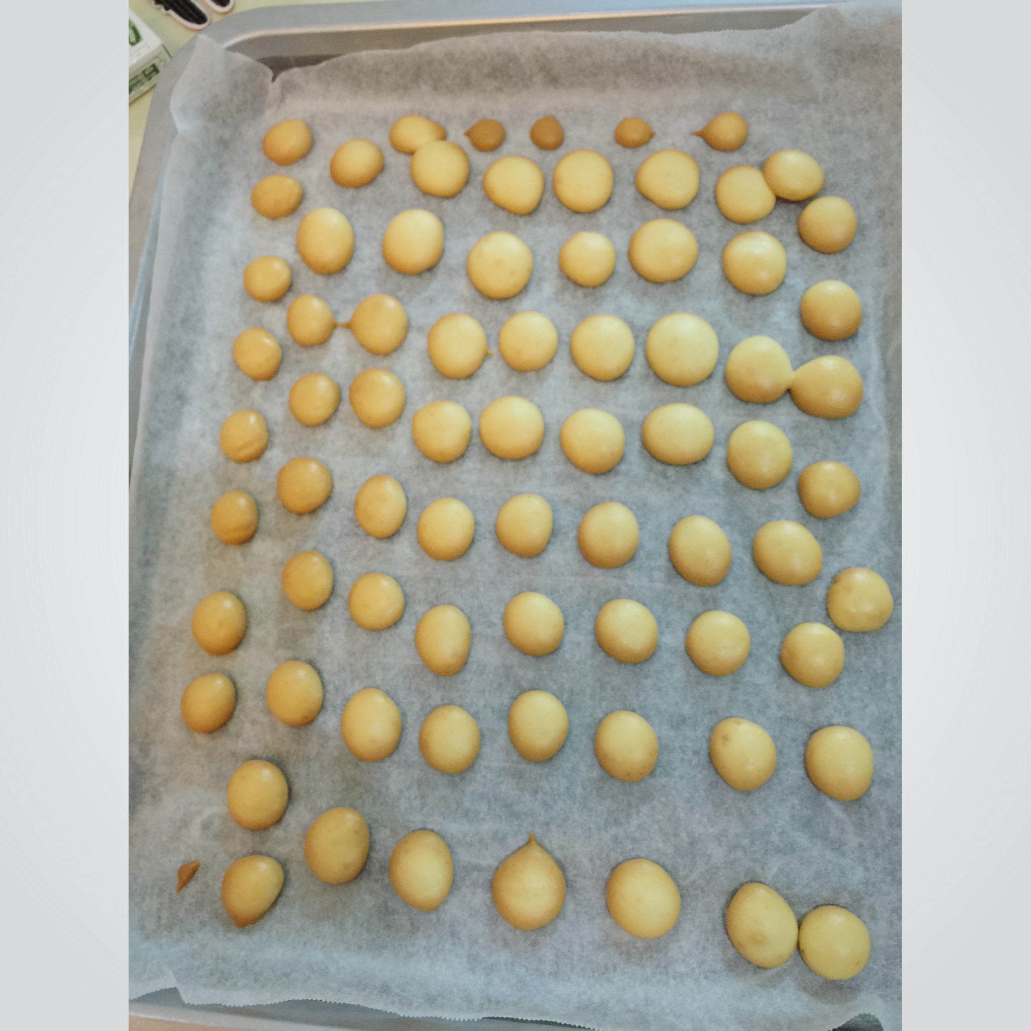 婴儿辅食版蛋奶小饼干（简单快手）