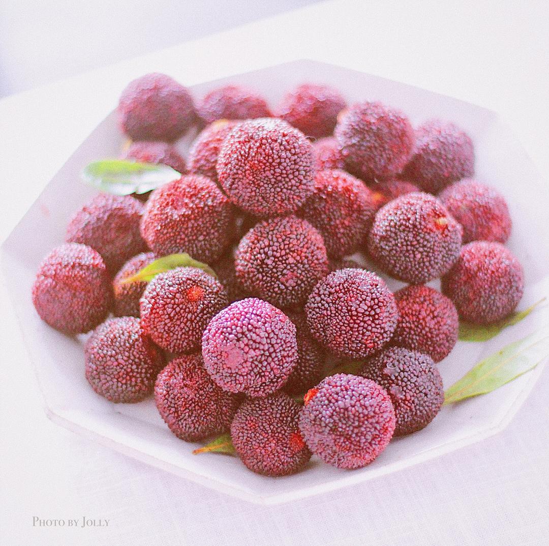 Jolly的厨房实验室