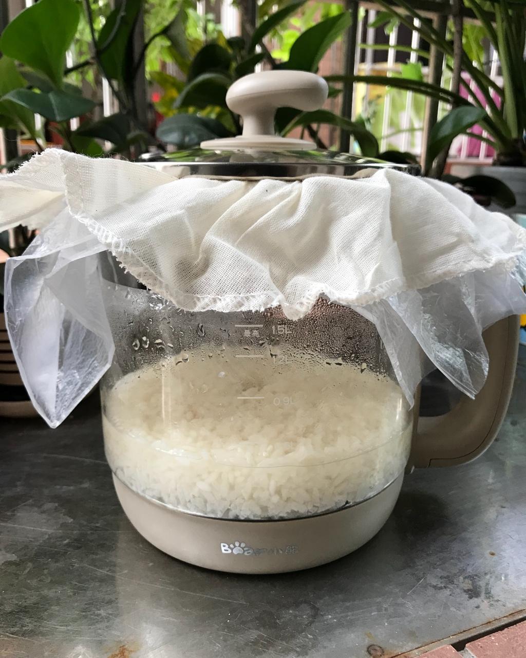 自制甜酒酿——甜酒、米酒、醪糟随便叫啥子都好