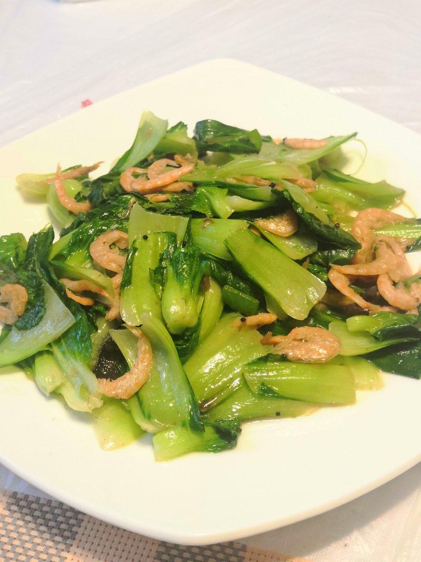 南极磷虾小油菜