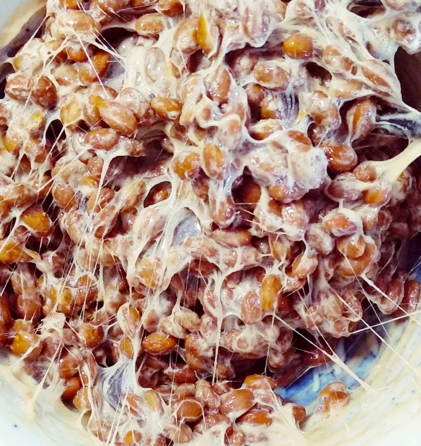 自制纳豆－蒸豆/餐具灭菌一步完成✔️