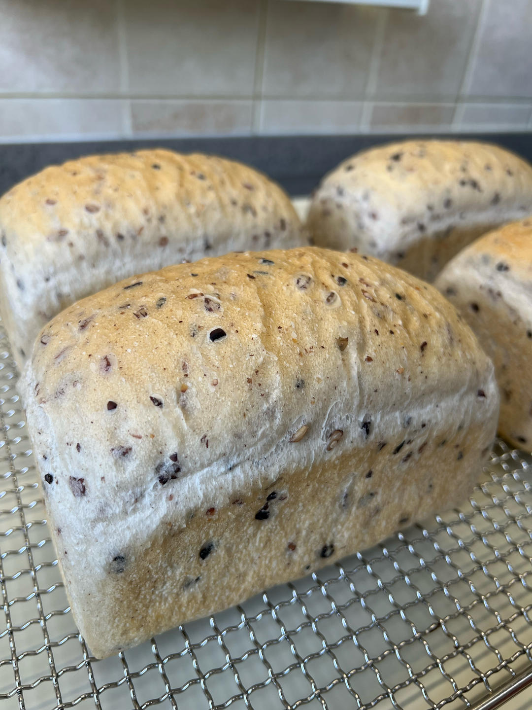 英式脆皮系列--杂粮米脆皮吐司