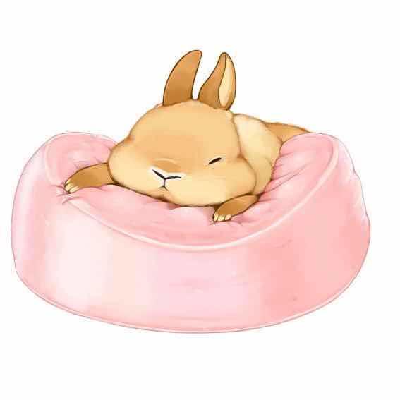 手机用户1018_dq17