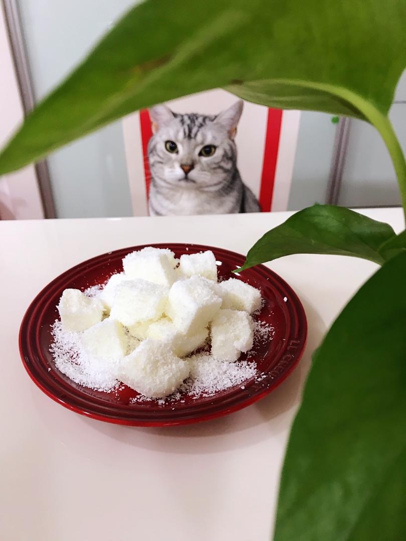 完胜85‘C的牛奶椰蓉小方
