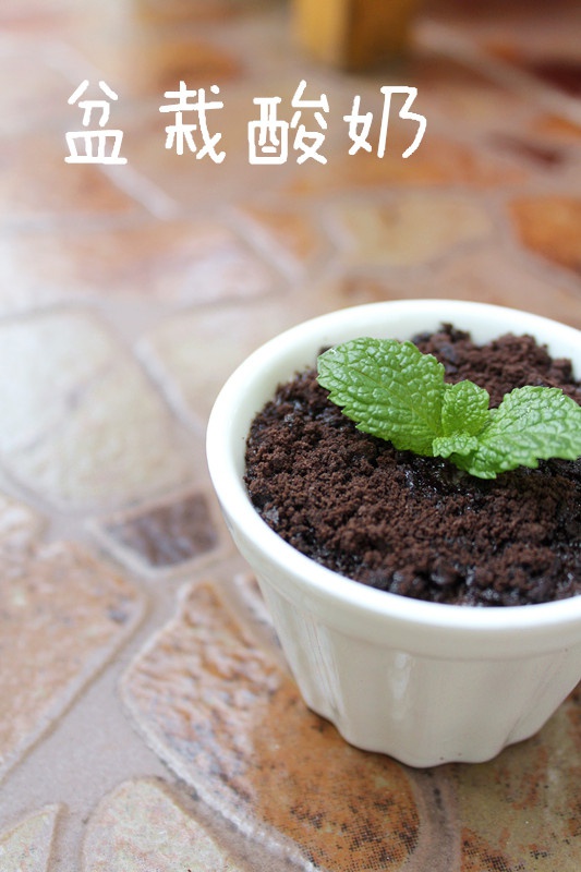 盆栽酸奶