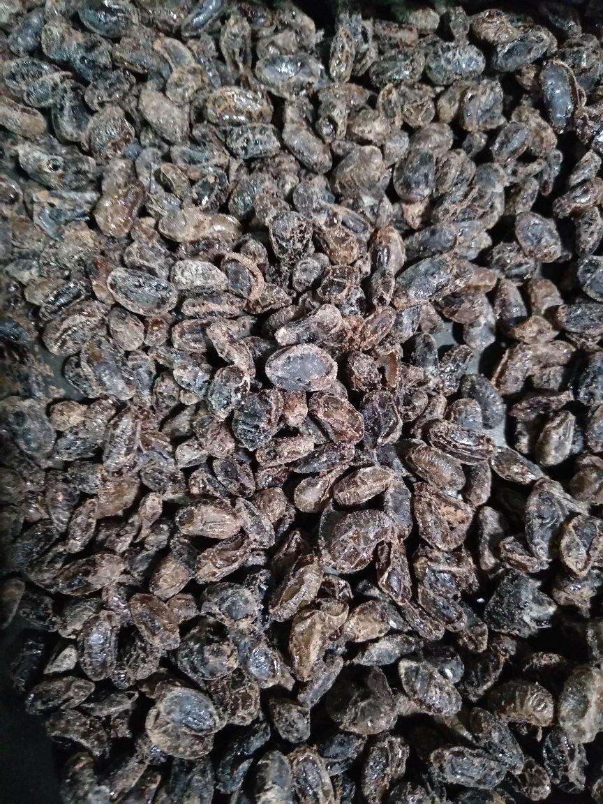 蜜黑豆