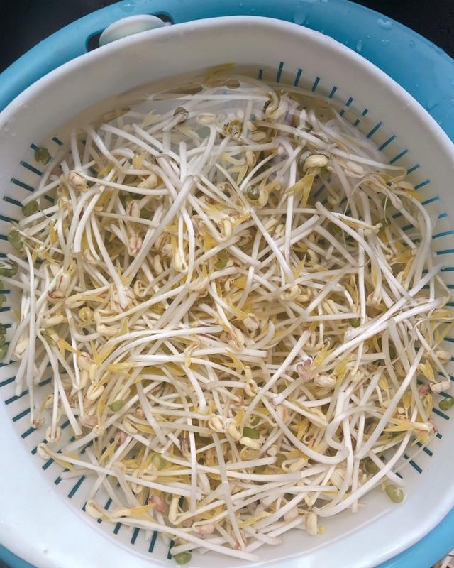自发绿豆芽/自生豆芽/自制豆芽