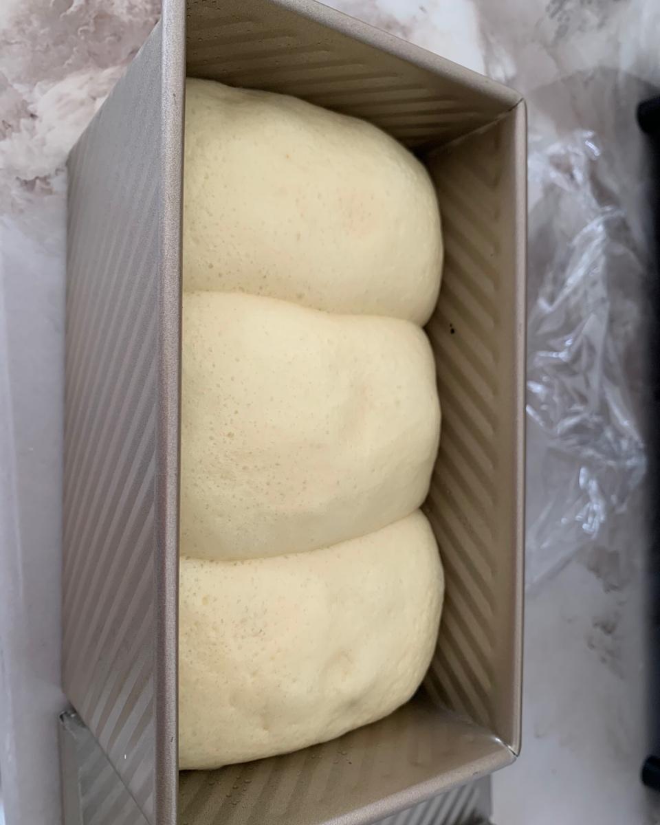 葡萄干吐司（超级拉丝一次性发酵）