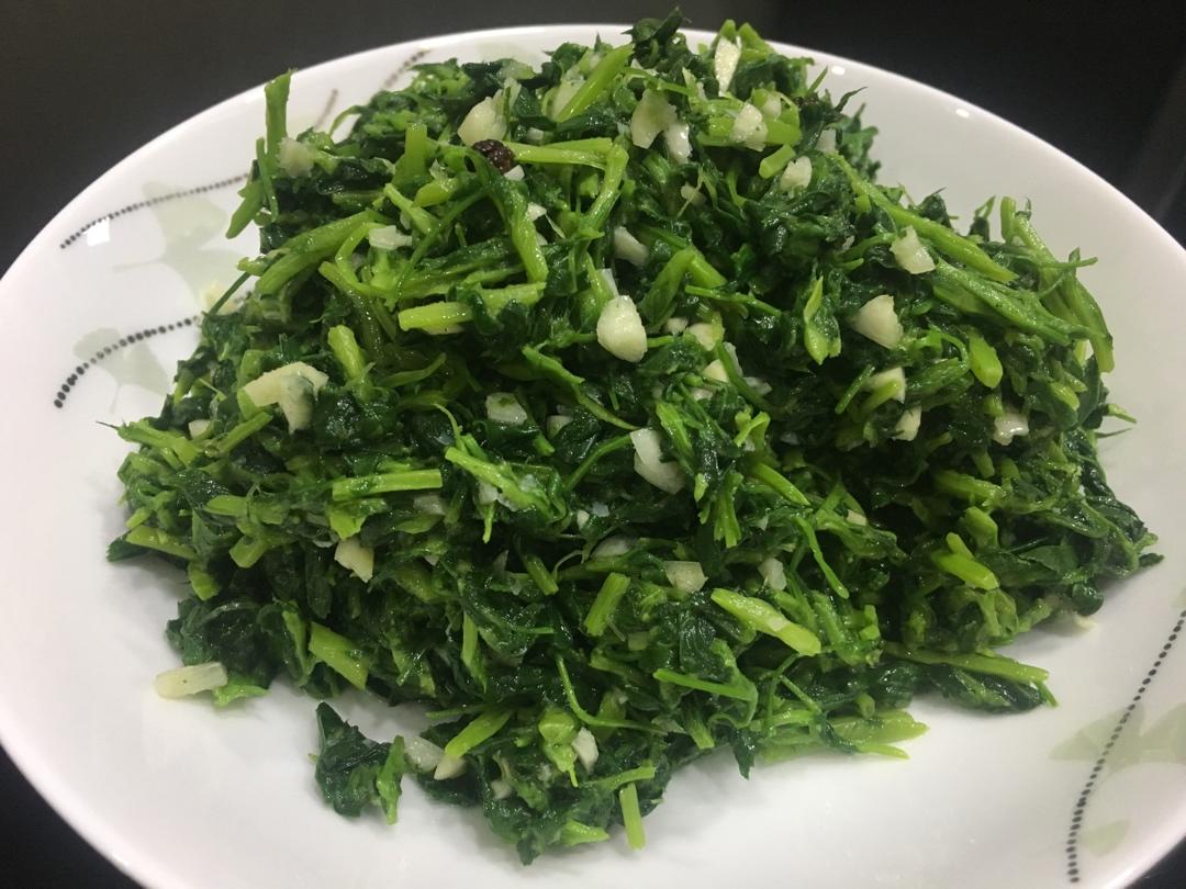 凉拌苜蓿
