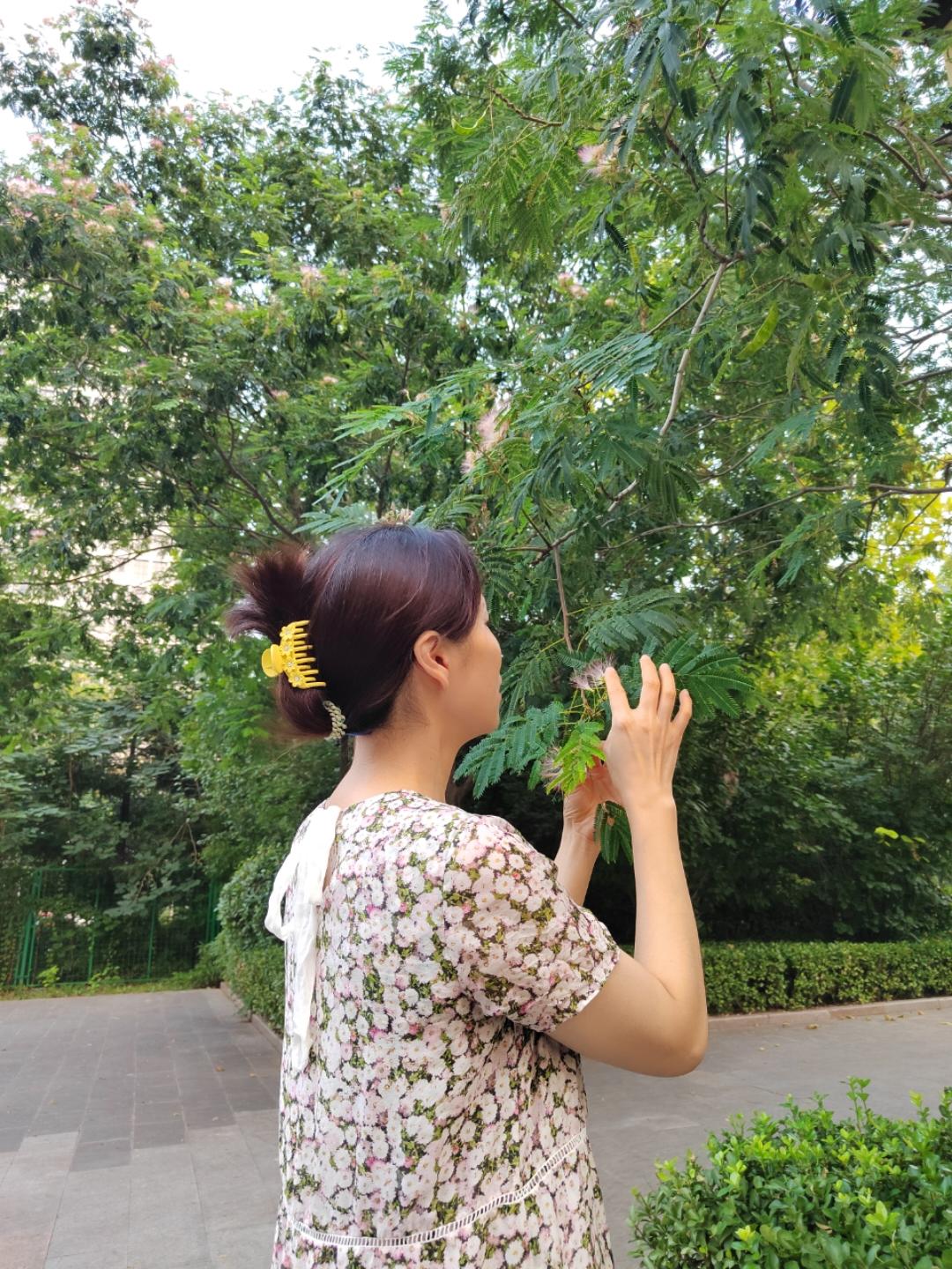 厨房里的天使516