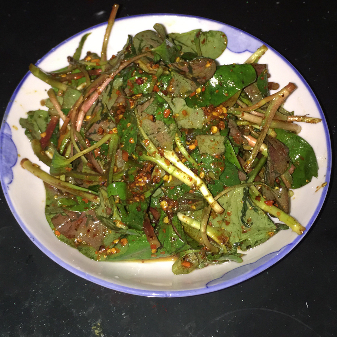 深澜做的凉拌折耳根叶