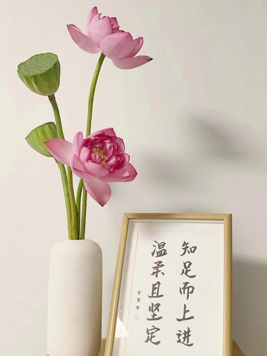 红连悠笑