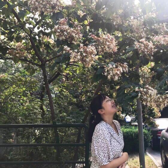茄茄别跑啊