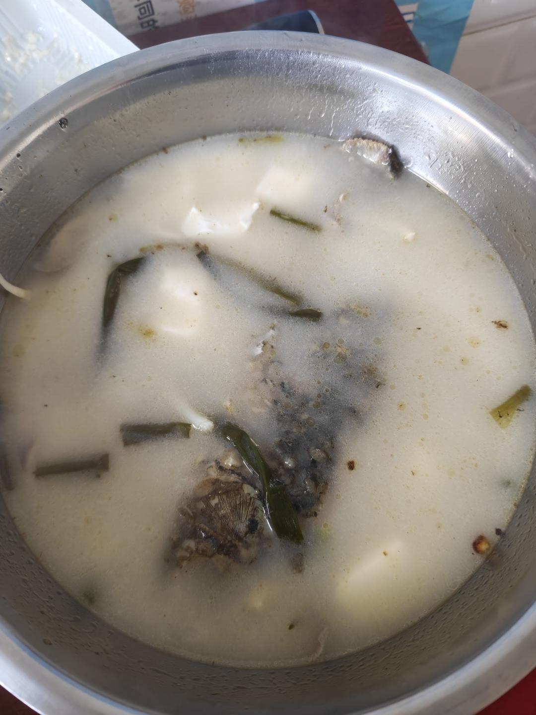 奶白鲫鱼豆腐汤|一条鱼最后的温柔