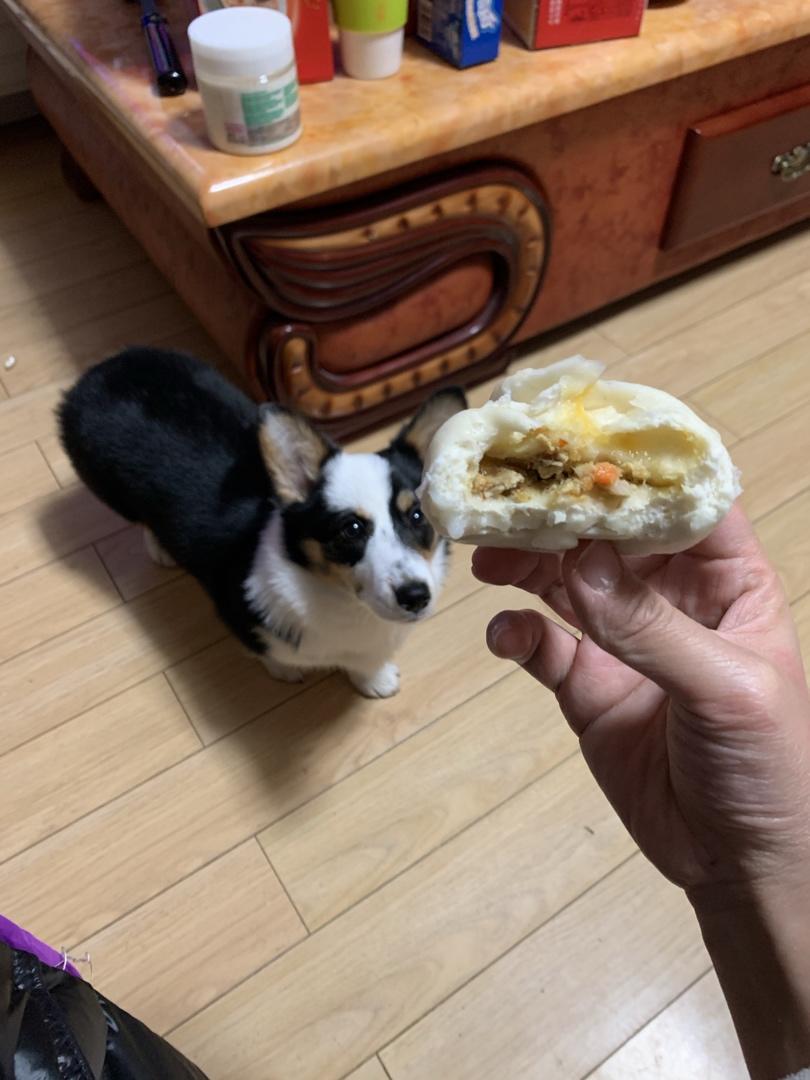 酱肉包 哎呀 太香了！