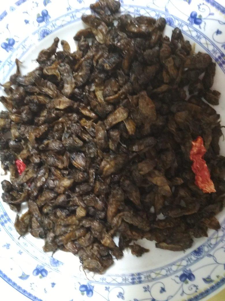 清炒蚕蛹