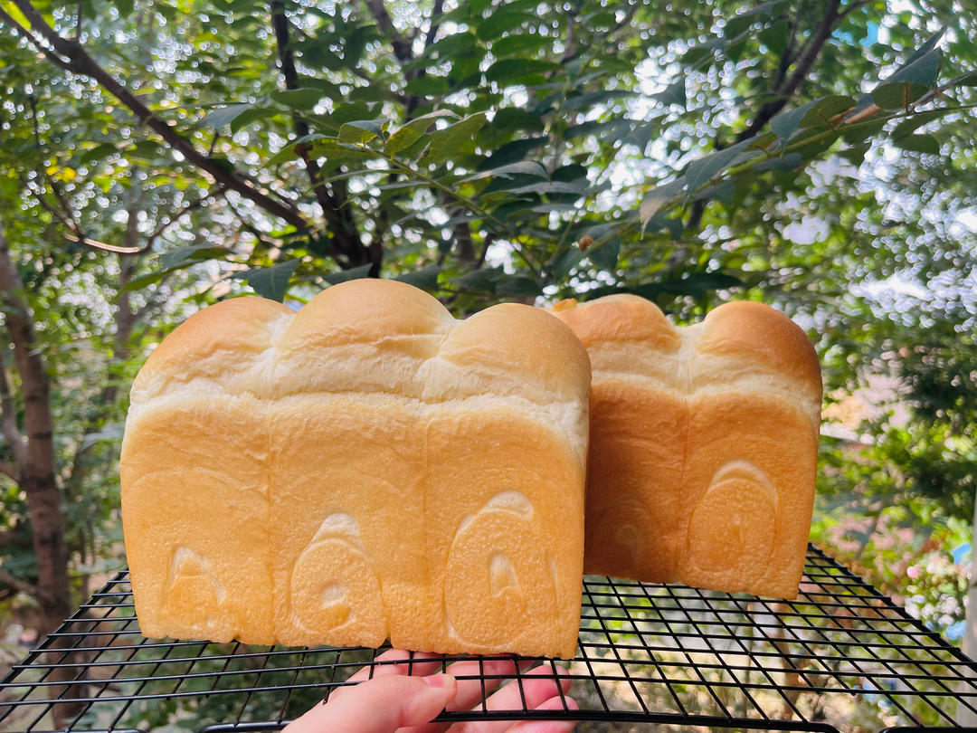 手撕鲜奶蛋白吐司