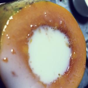 奶粉版木瓜椰奶冻的做法 步骤10