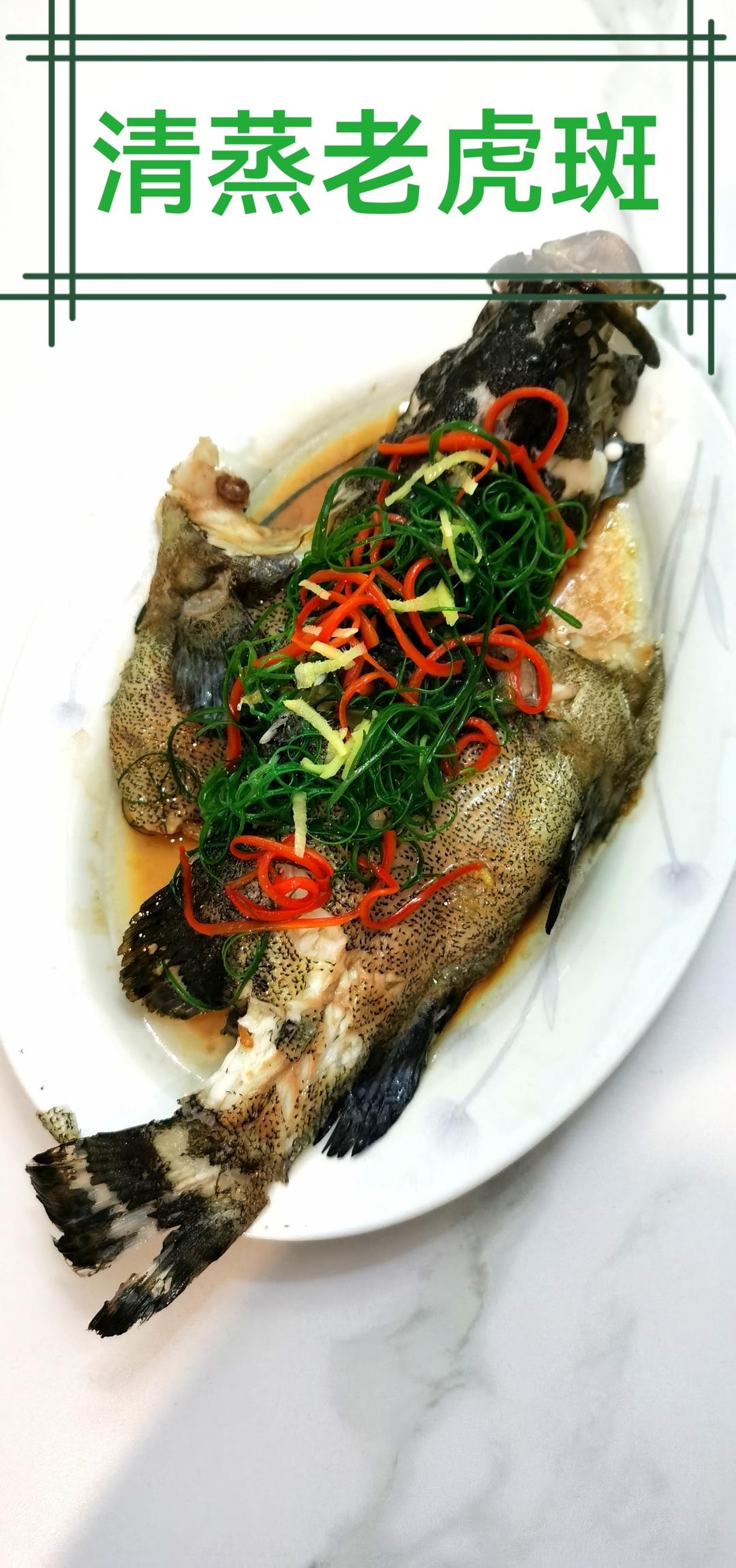清蒸老虎斑～酒楼蒸鱼味道