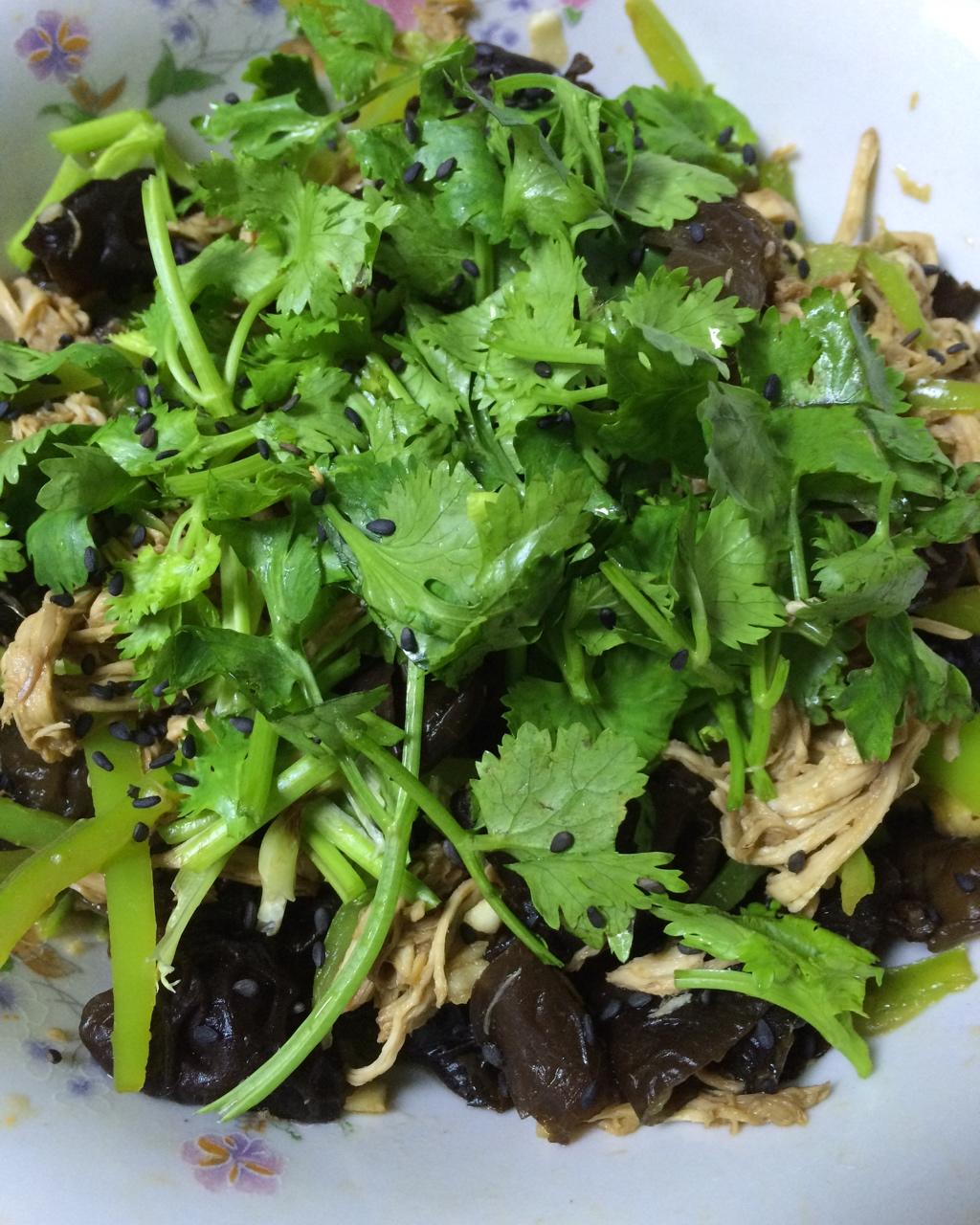 减脂健身｜凉拌手撕鸡丝（香辣&麻油版）