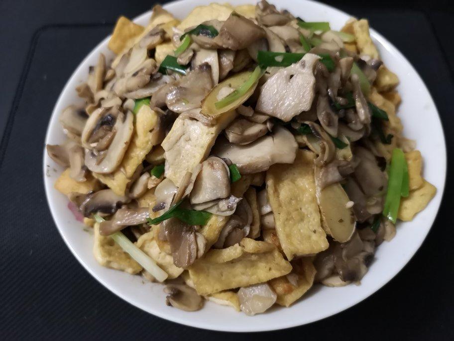 豆腐烧口蘑的全部作品