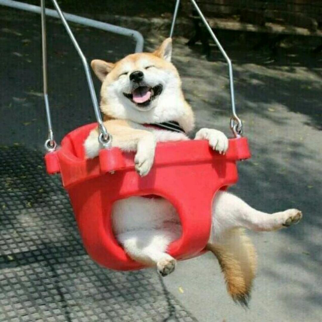 生活充满节奏感阿阿阿